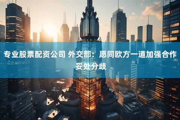 专业股票配资公司 外交部：愿同欧方一道加强合作 妥处分歧
