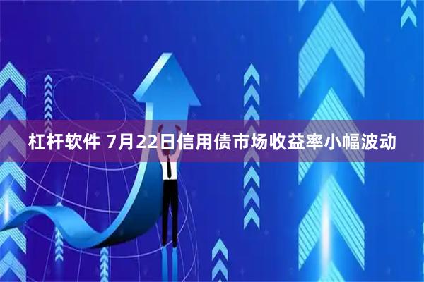杠杆软件 7月22日信用债市场收益率小幅波动
