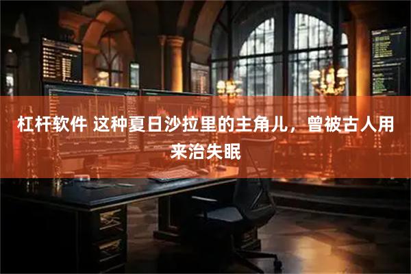杠杆软件 这种夏日沙拉里的主角儿，曾被古人用来治失眠